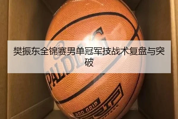 樊振东全锦赛男单冠军技战术复盘与突破